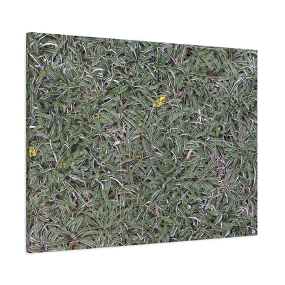 Tangled Memories - Unique Frameless Canvas Wall Art - Art By Earth