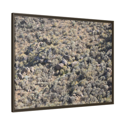 Arid Terrain Study - Unique Stretched Canvas Wall Art - Art By Earth