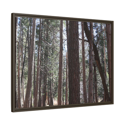 Forest Cathedral - Unique Stretched Canvas Wall Art - Art By Earth