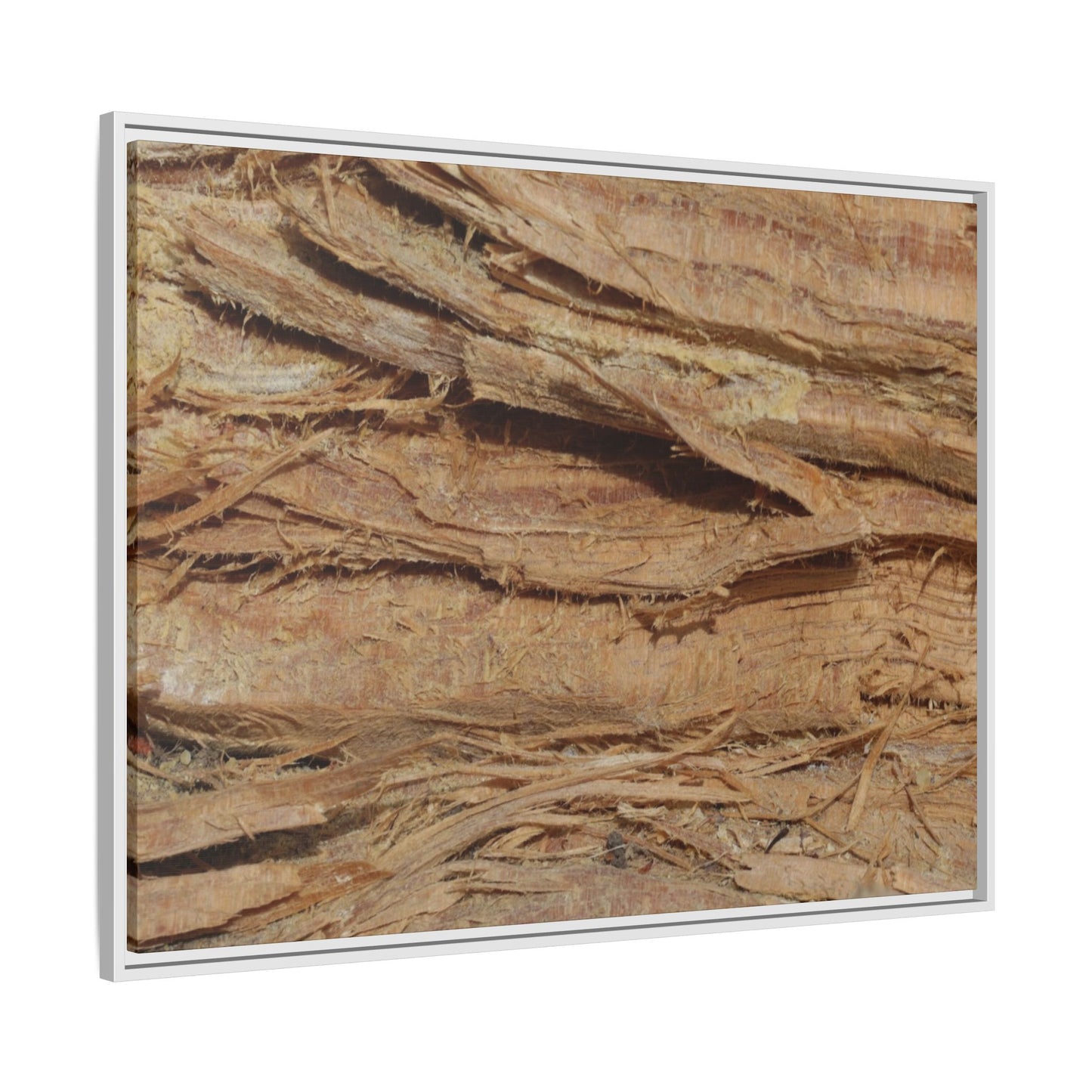Splintered Bark - Unique Stretched Canvas Wall Art - Art By Earth