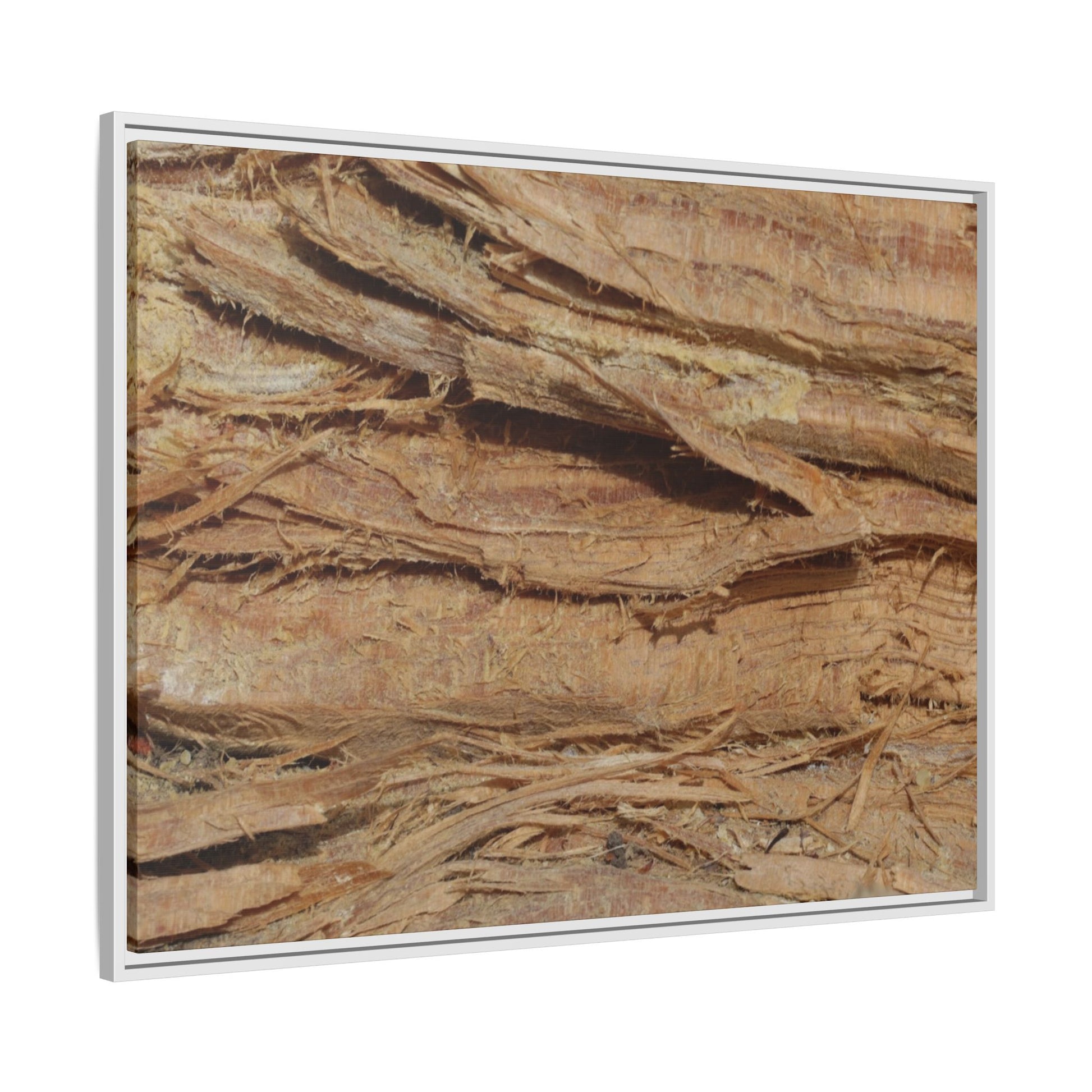 Splintered Bark - Unique Stretched Canvas Wall Art - Art By Earth