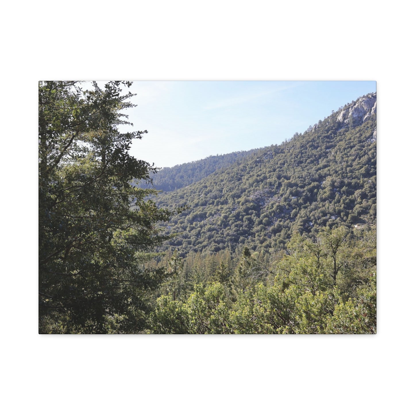 Mountain Vista Through Forest - Unique Frameless Canvas Wall Art