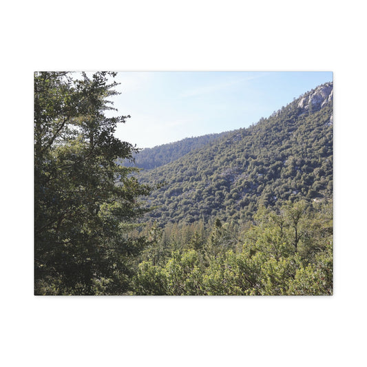 Mountain Vista Through Forest - Unique Frameless Canvas Wall Art