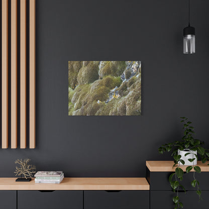 Verdant Stone Symphony - Unique Frameless Canvas Wall Art