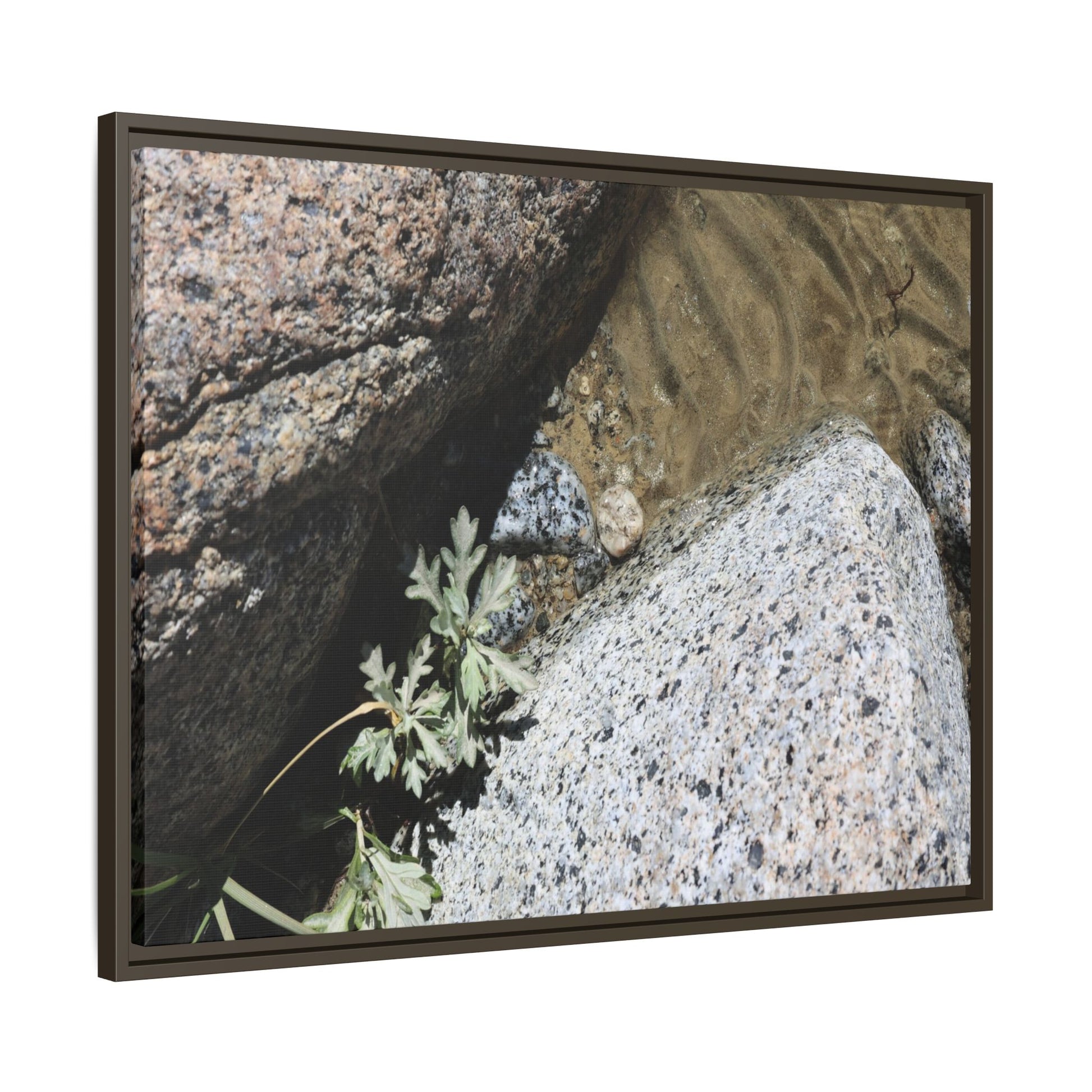 Resilience in Stone - Unique Stretched Canvas Wall Art - Art By Earth