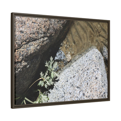 Resilience in Stone - Unique Stretched Canvas Wall Art - Art By Earth