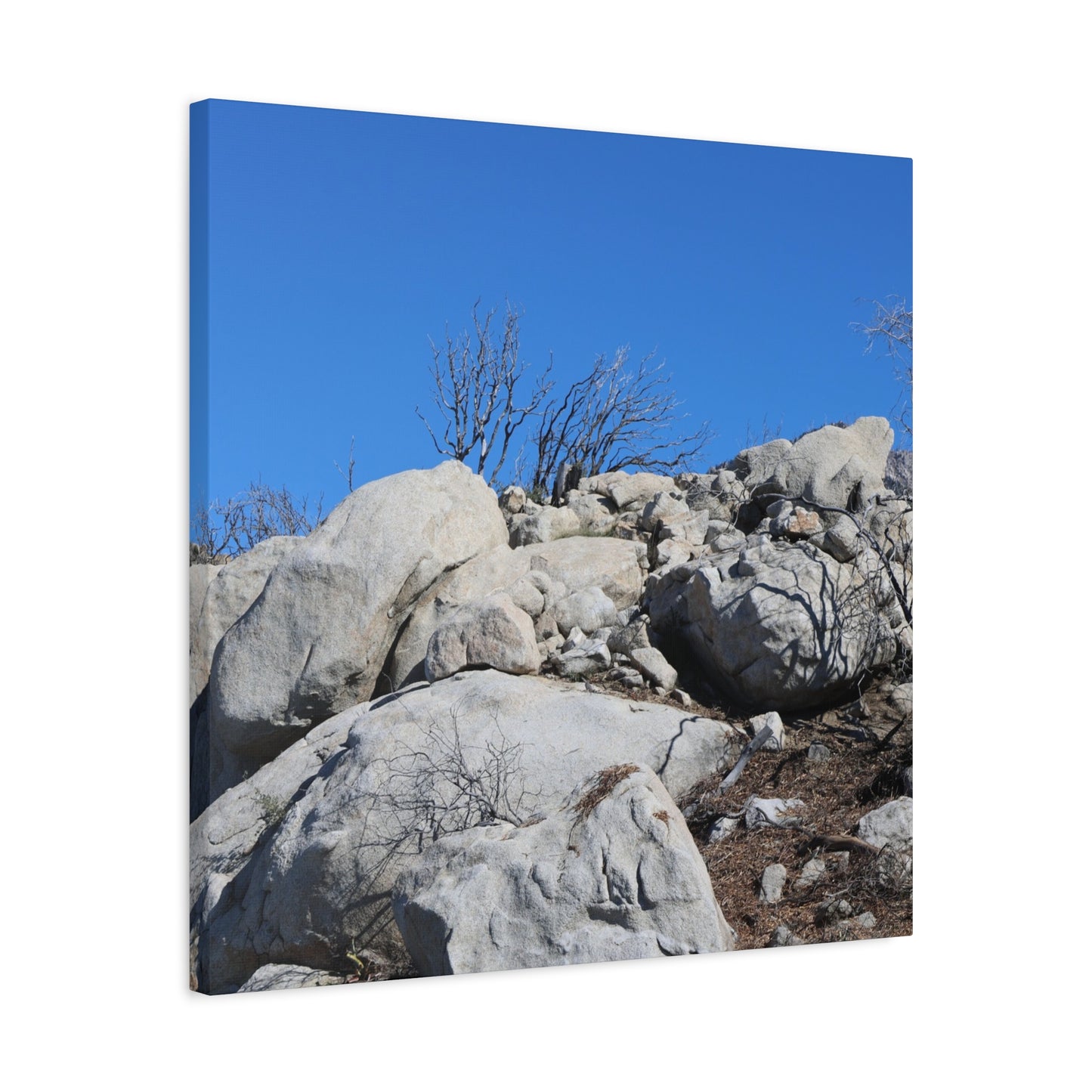 Desert Rocks Under Blue Sky - Unique Frameless Canvas Wall Art - Art By Earth