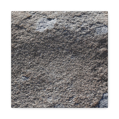 Earth's Canvas - Unique Frameless Canvas Wall Art