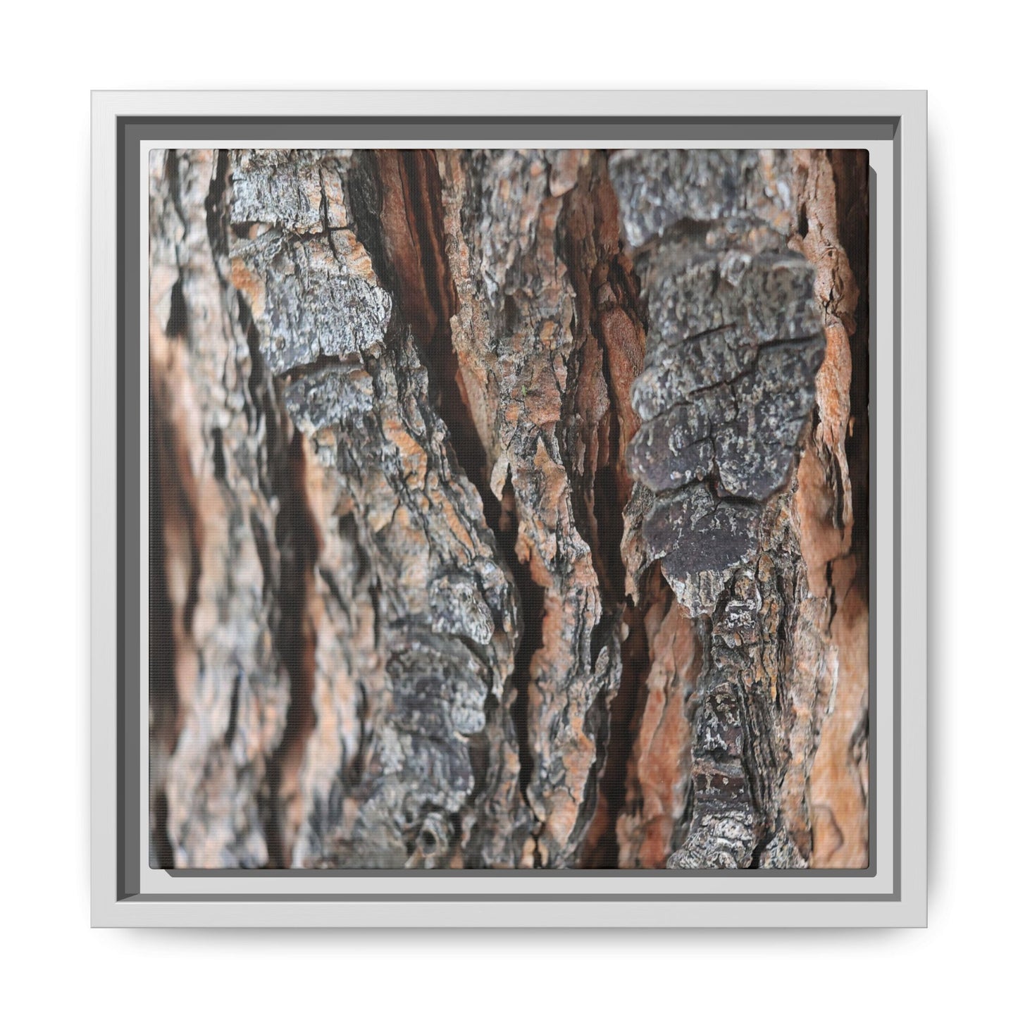 Fractured Nature - Unique Stretched Canvas Wall Art - Art By Earth