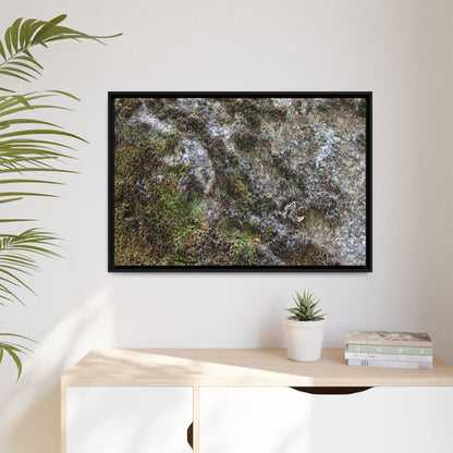 Mossy Whispers - Unique Stretched Canvas Wall Art - Art By Earth