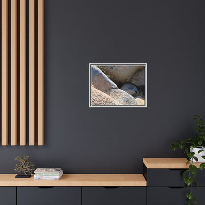 Boulder Shelter - Unique Stretched Canvas Wall Art