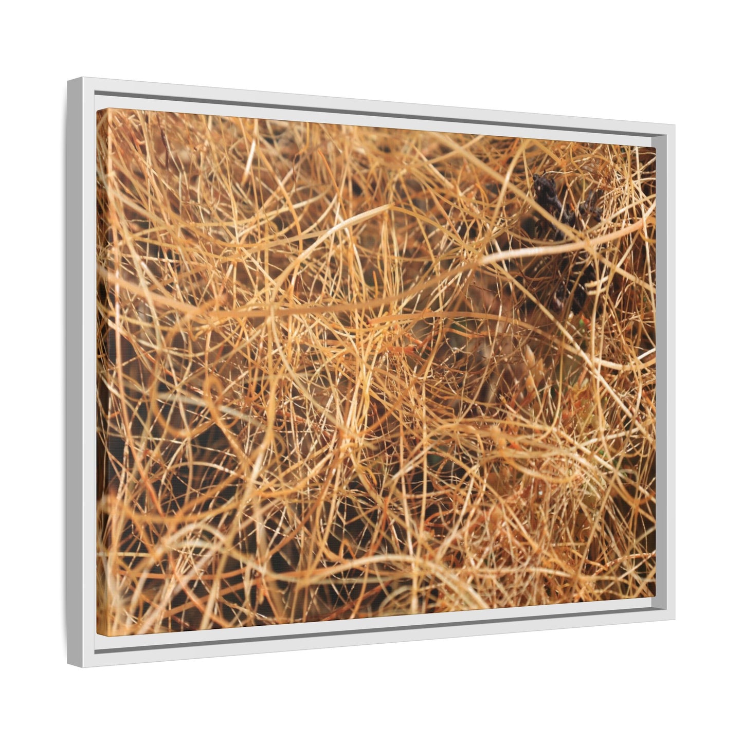 Dried Grass - Unique Stretched Canvas Wall Art - Art By Earth