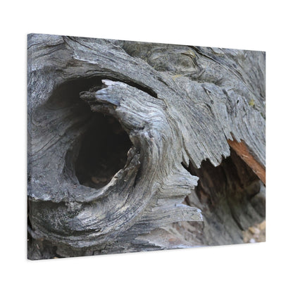 Twisted Whispers of the Forest Floor - Unique Frameless Canvas Wall Art - Art By Earth