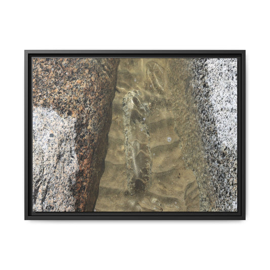 Between Concrete Walls - Unique Stretched Canvas Wall Art - Art By Earth