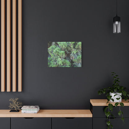 Green Labyrinth - Unique Frameless Canvas Wall Art - Art By Earth