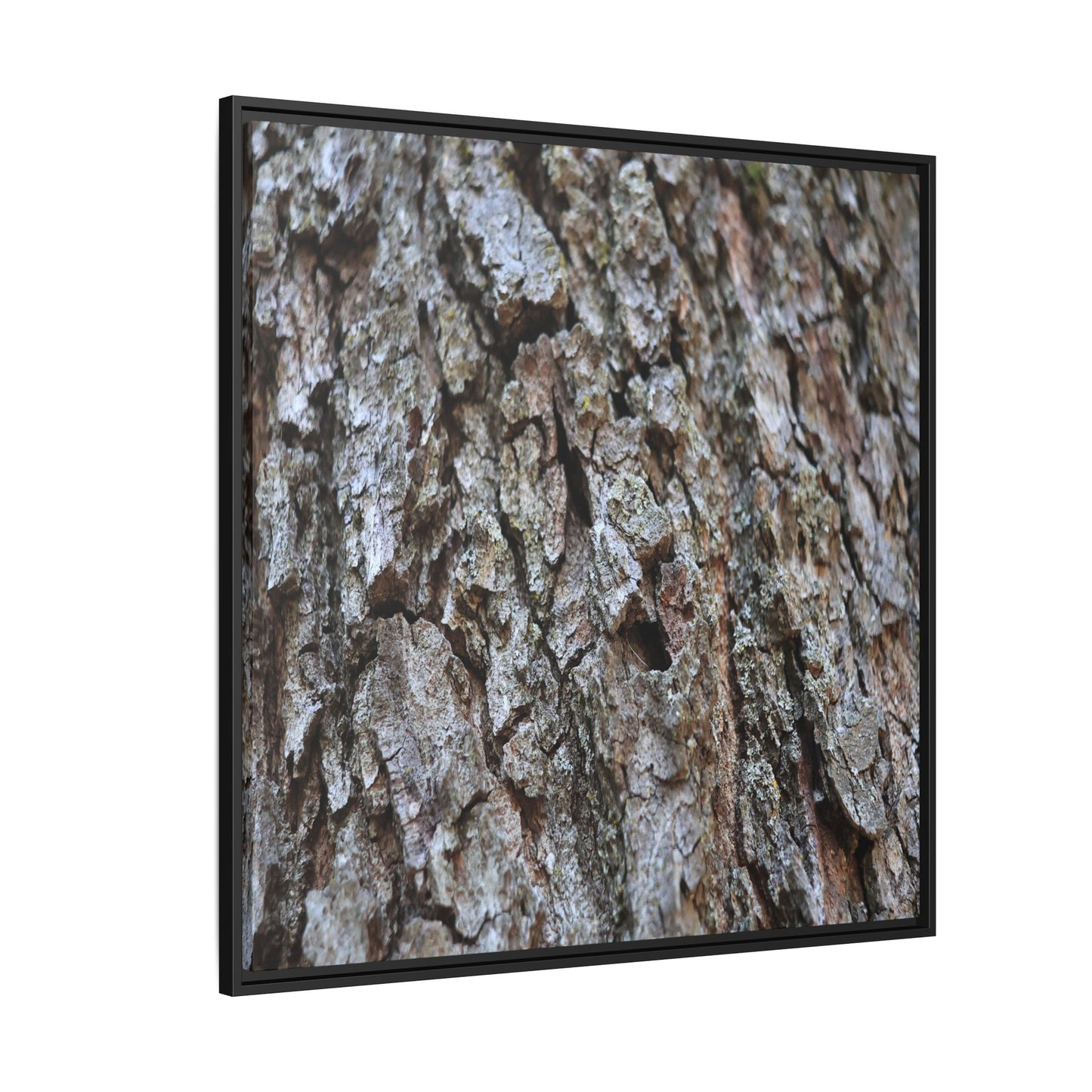 Woodland Canvas - Unique Stretched Canvas Wall Art - Art By Earth