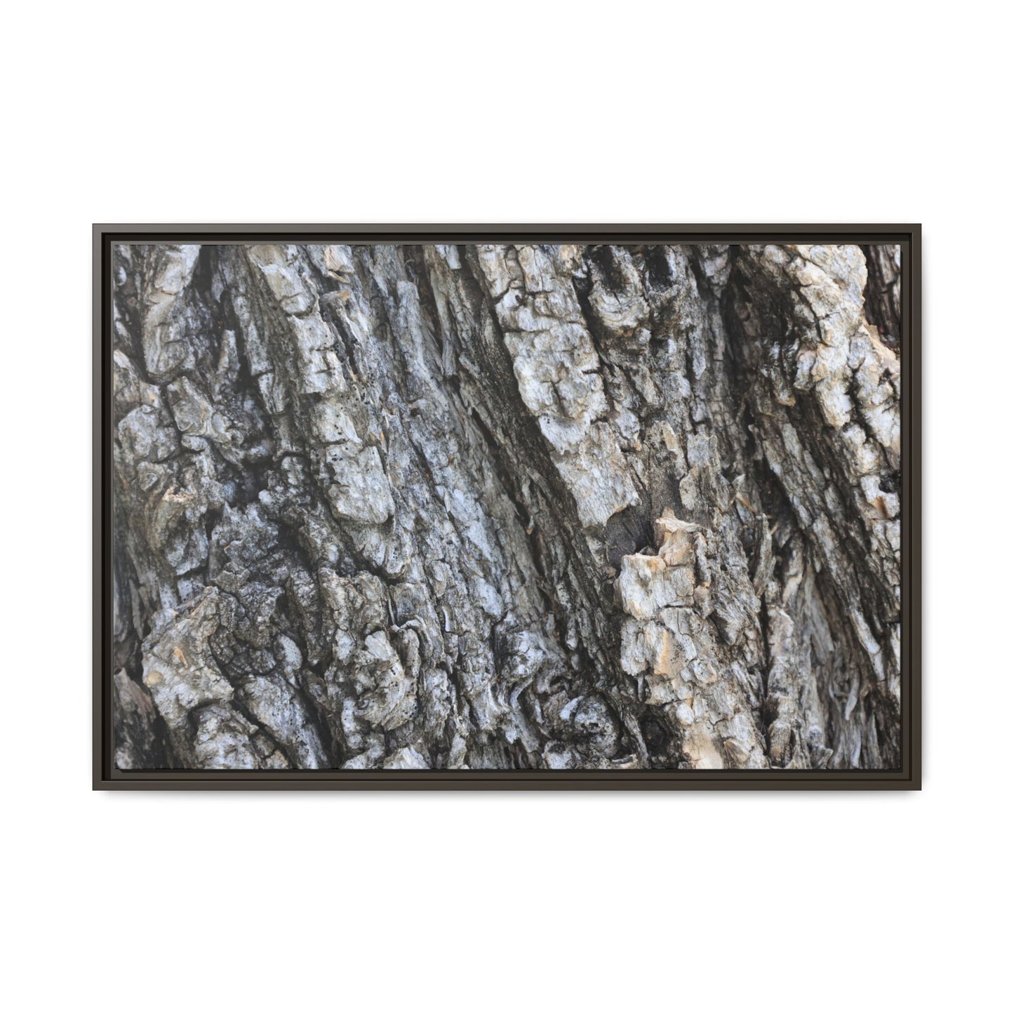 Twisted Textures - Unique Stretched Canvas Wall Art - Art By Earth