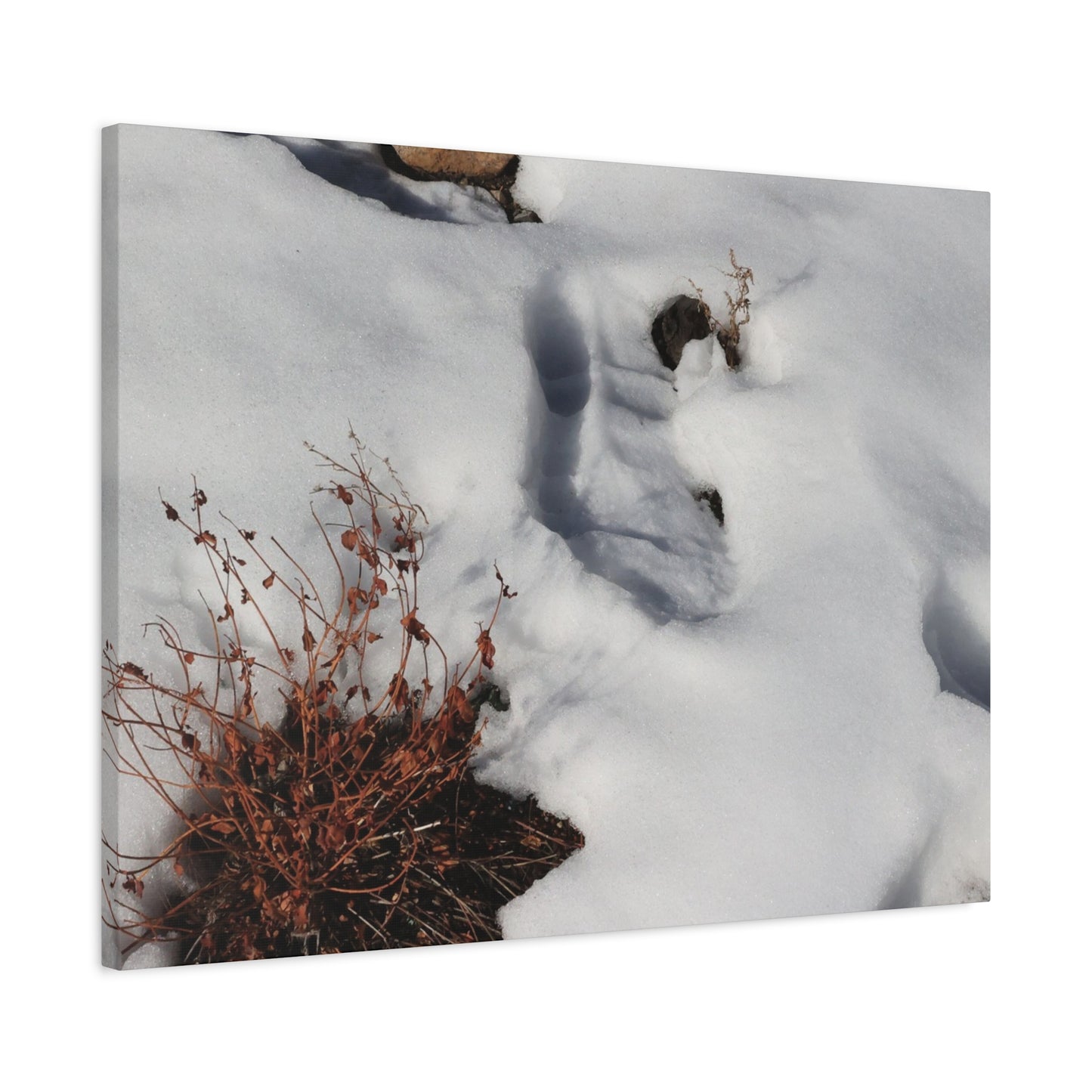 Snow's Tender Embrace - Unique Frameless Canvas Wall Art
