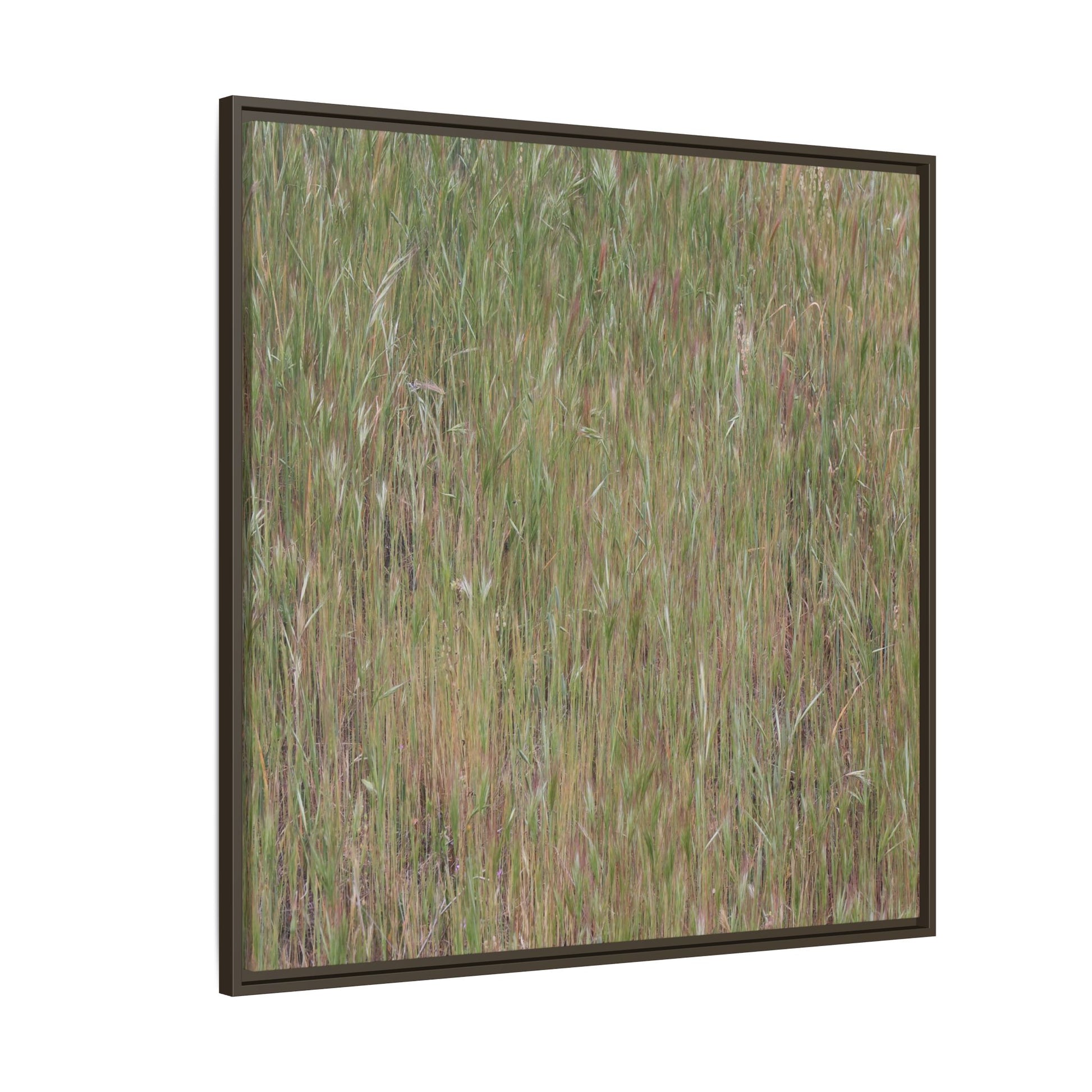 Field of Dreams - Unique Stretched Canvas Wall Art - Art By Earth