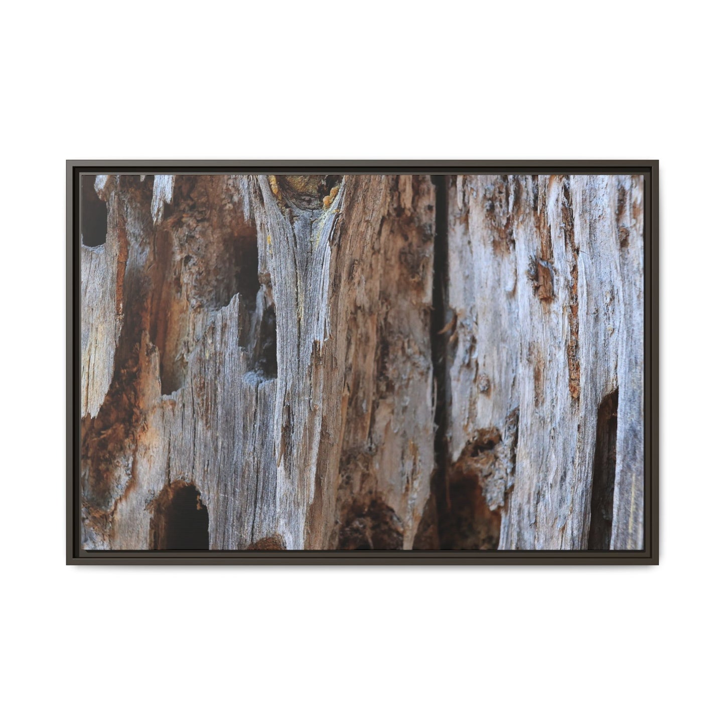 Decaying Splendor - Unique Stretched Canvas Wall Art - Art By Earth