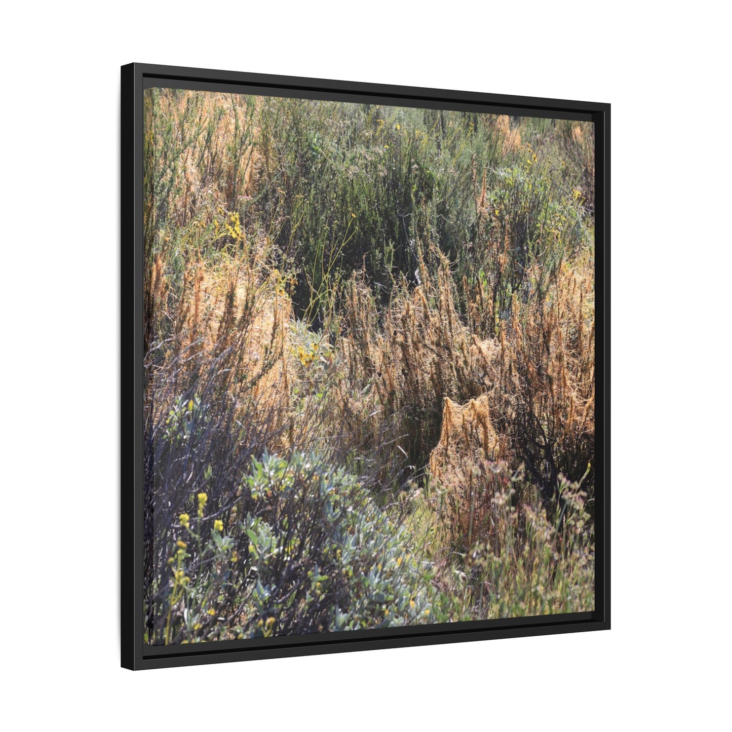 Drought-Stricken Landscape - Unique Stretched Canvas Wall Art - Art By Earth