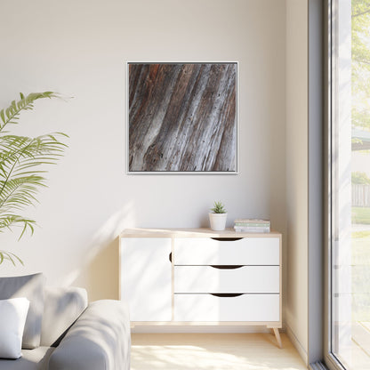 Aged Timber Texture - Unique Stretched Canvas Wall Art - Art By Earth