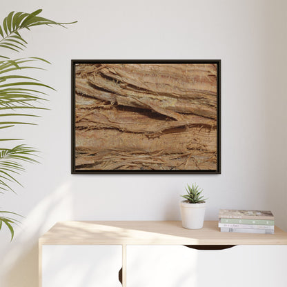 Splintered Bark - Unique Stretched Canvas Wall Art - Art By Earth