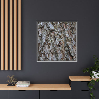 Woodland Canvas - Unique Stretched Canvas Wall Art - Art By Earth