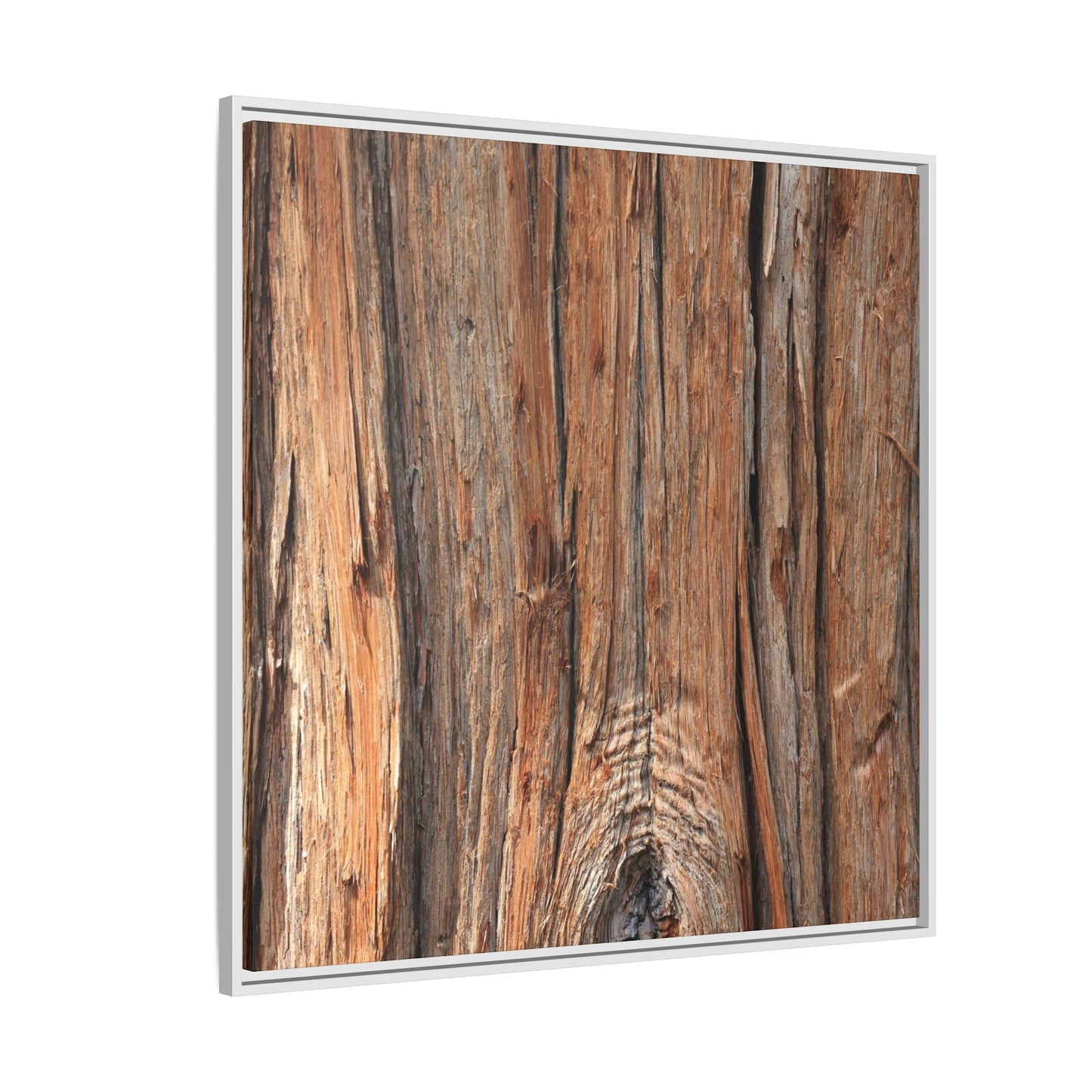 Echoes of Timber - Unique Stretched Canvas Wall Art - Art By Earth