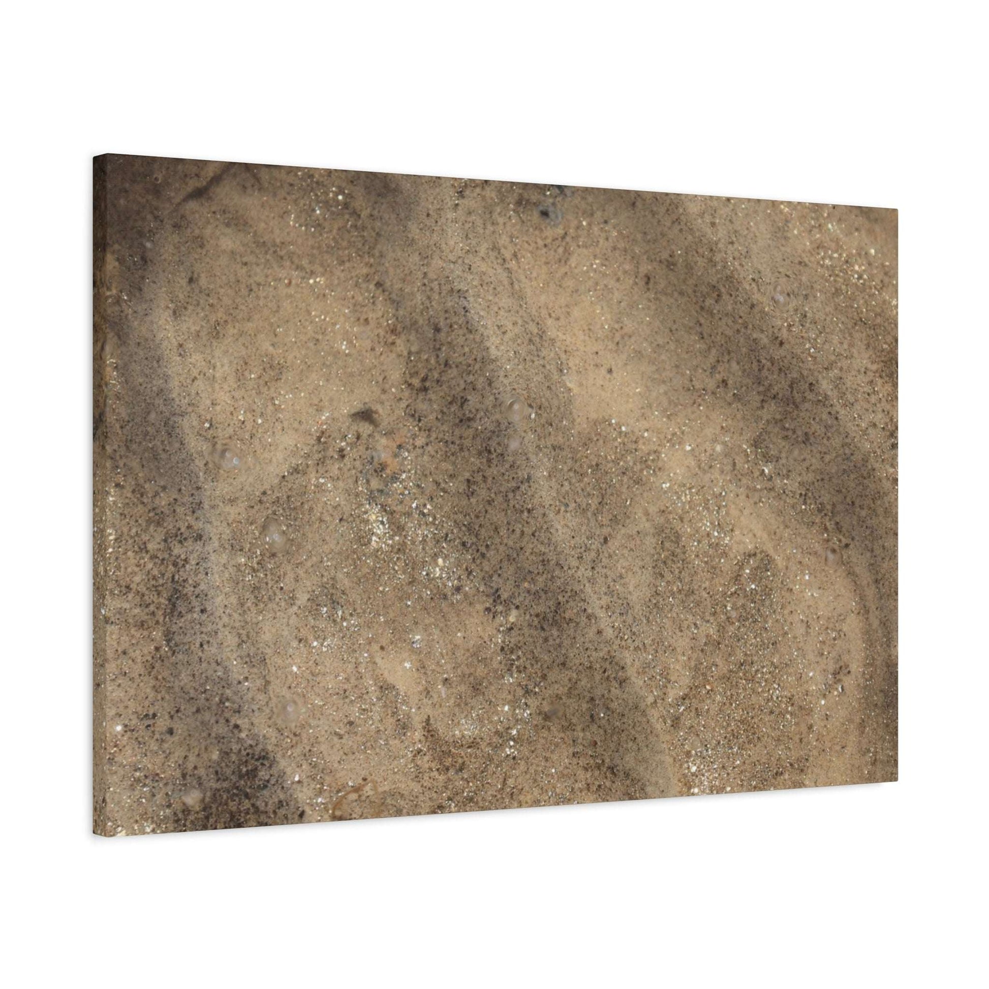 Shallow Waters - Unique Frameless Canvas Wall Art - Art By Earth