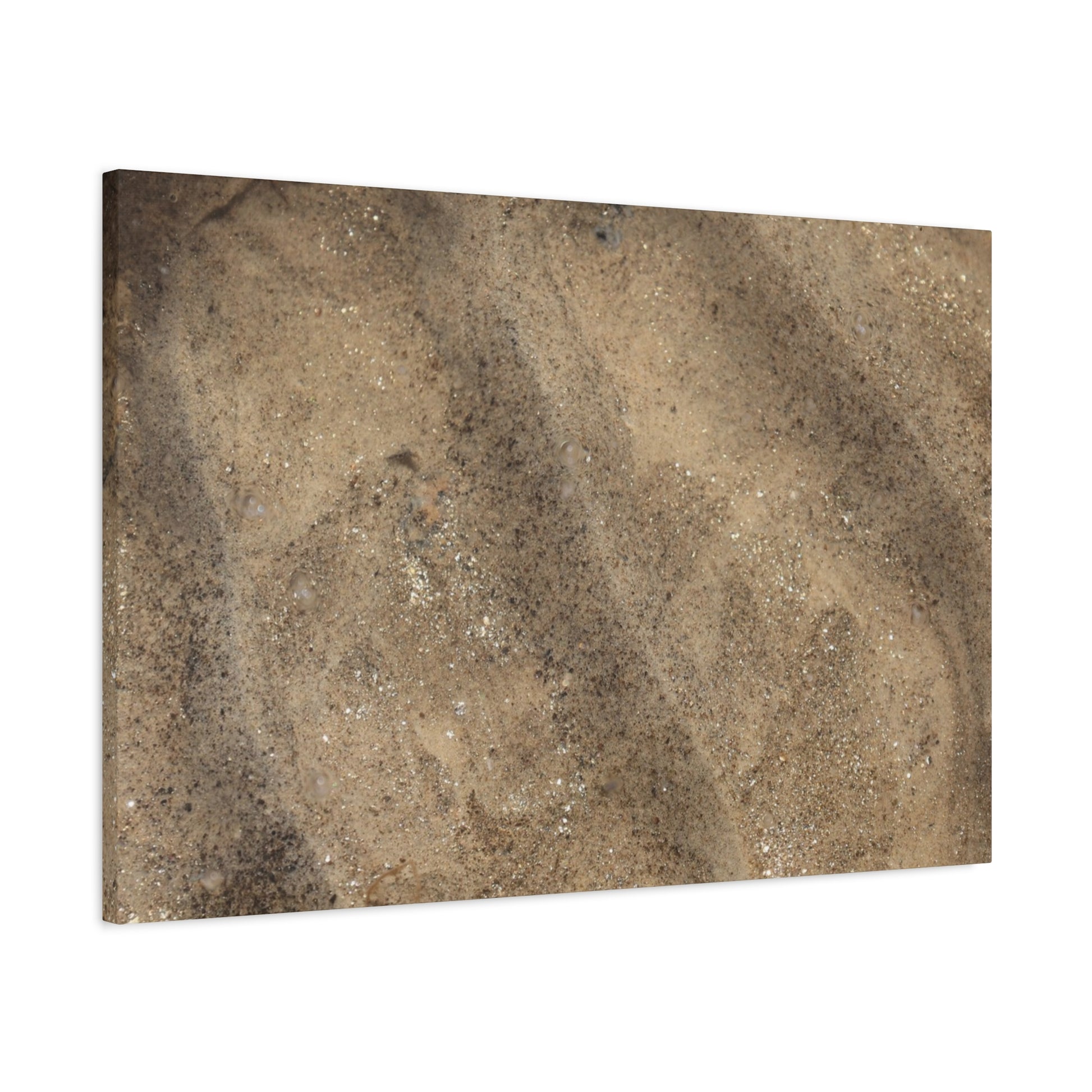 Shallow Waters - Unique Frameless Canvas Wall Art - Art By Earth