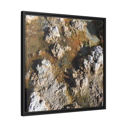 Textural Metamorphosis - Unique Stretched Canvas Wall Art
