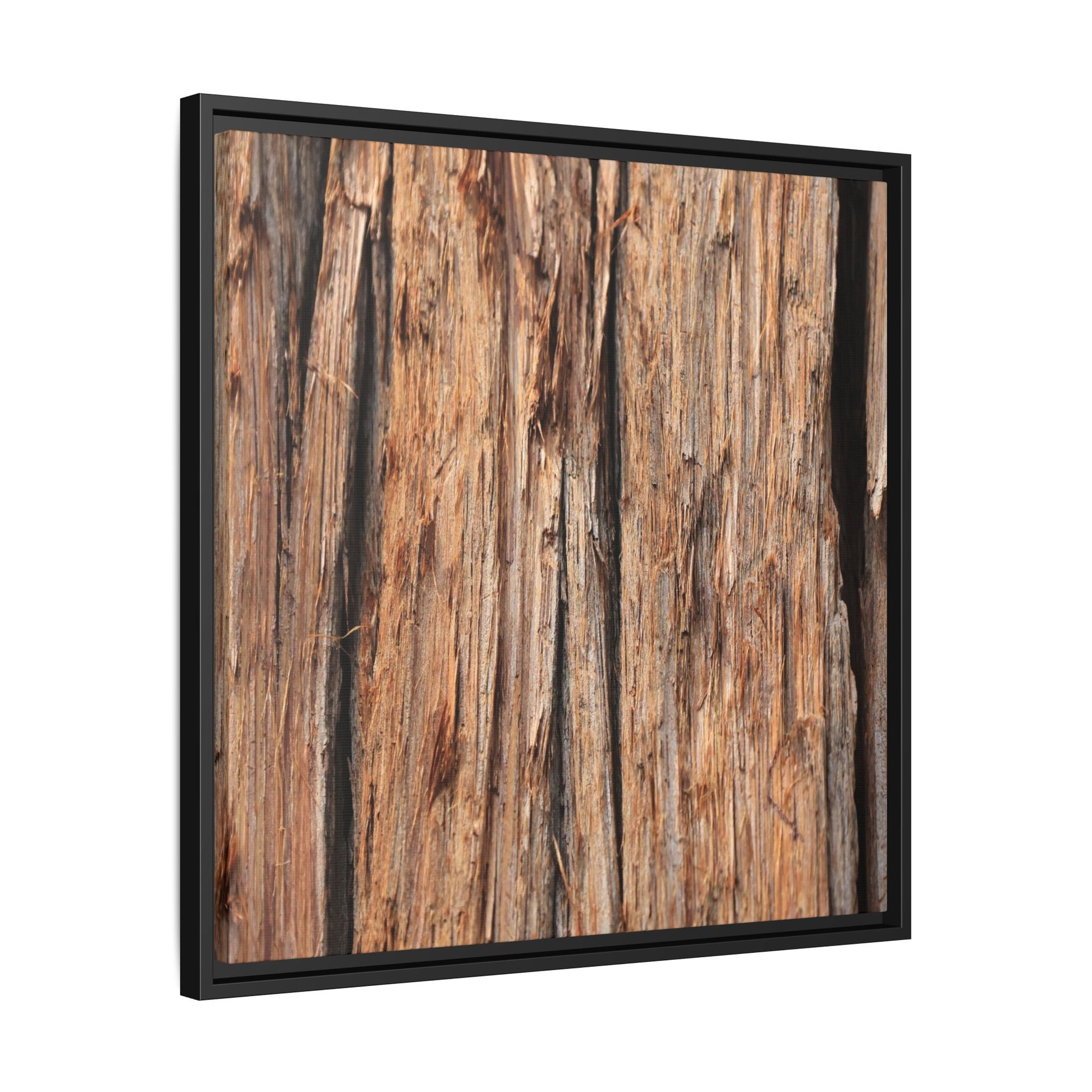 Timber Echoes - Unique Stretched Canvas Wall Art - Art By Earth