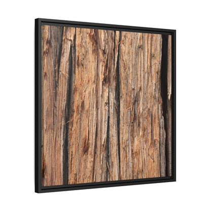 Timber Echoes - Unique Stretched Canvas Wall Art - Art By Earth