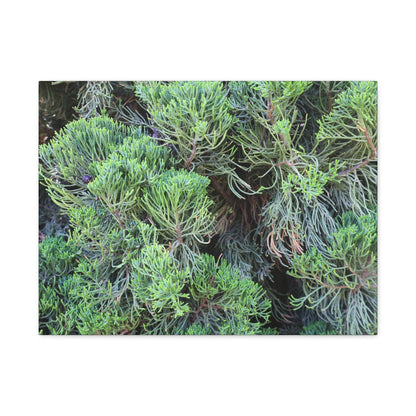 Green Labyrinth - Unique Frameless Canvas Wall Art - Art By Earth