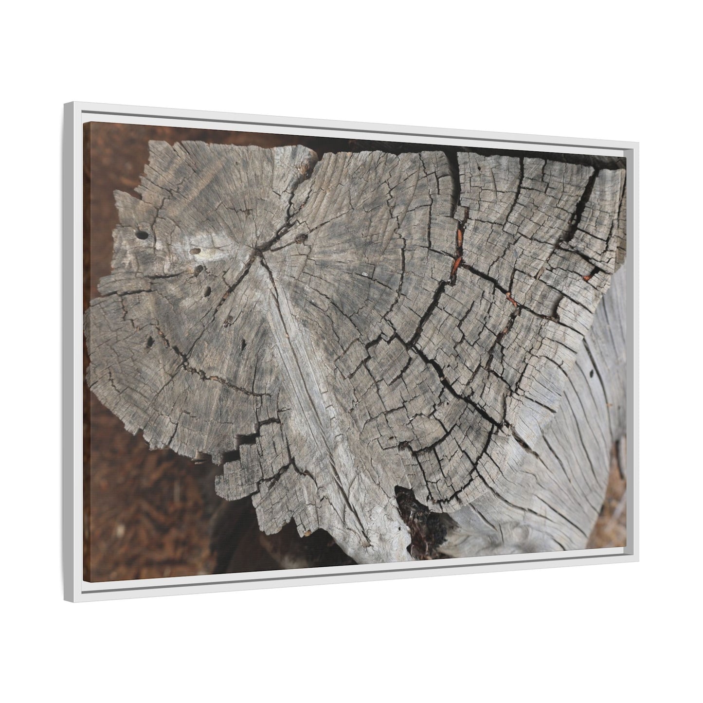 Time's Signature - Unique Stretched Canvas Wall Art - Art By Earth