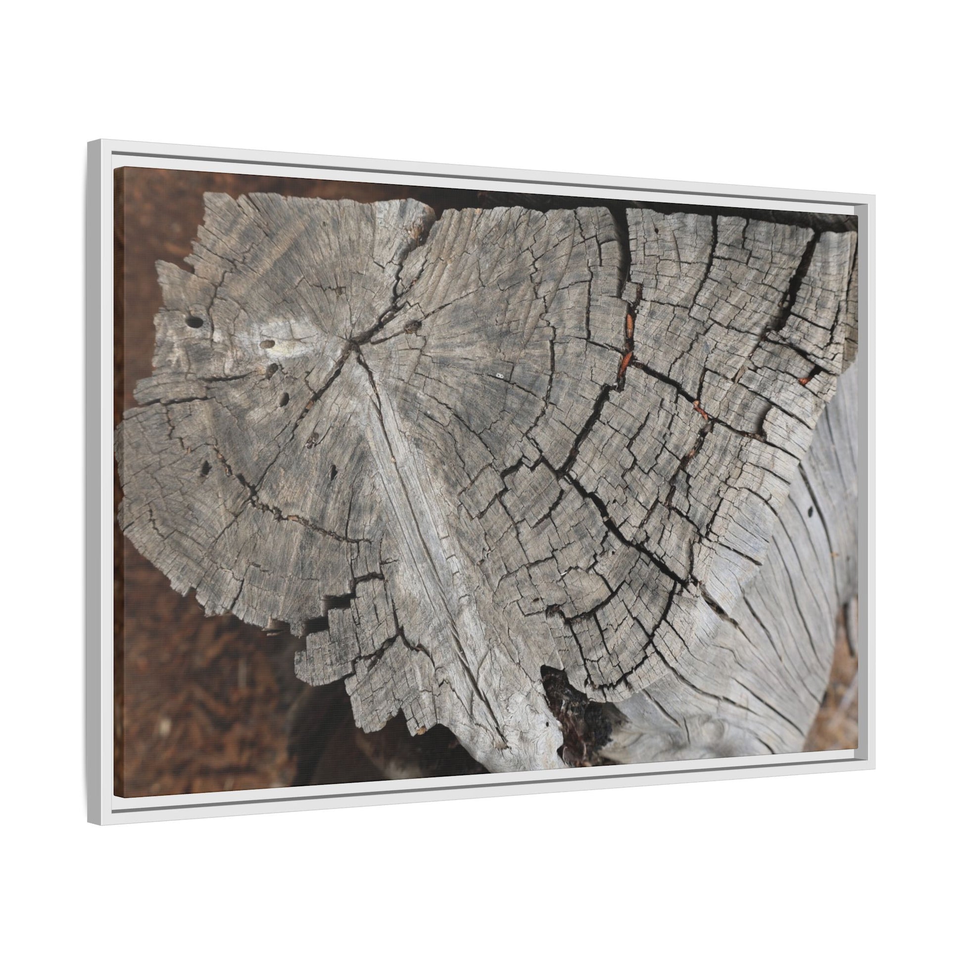 Time's Signature - Unique Stretched Canvas Wall Art - Art By Earth