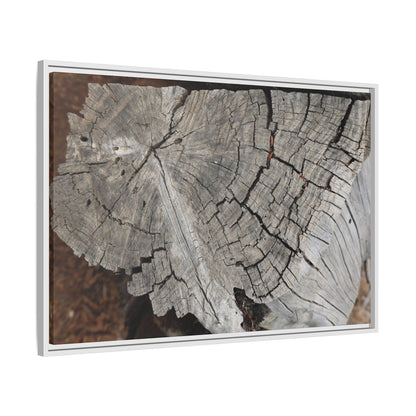 Time's Signature - Unique Stretched Canvas Wall Art - Art By Earth