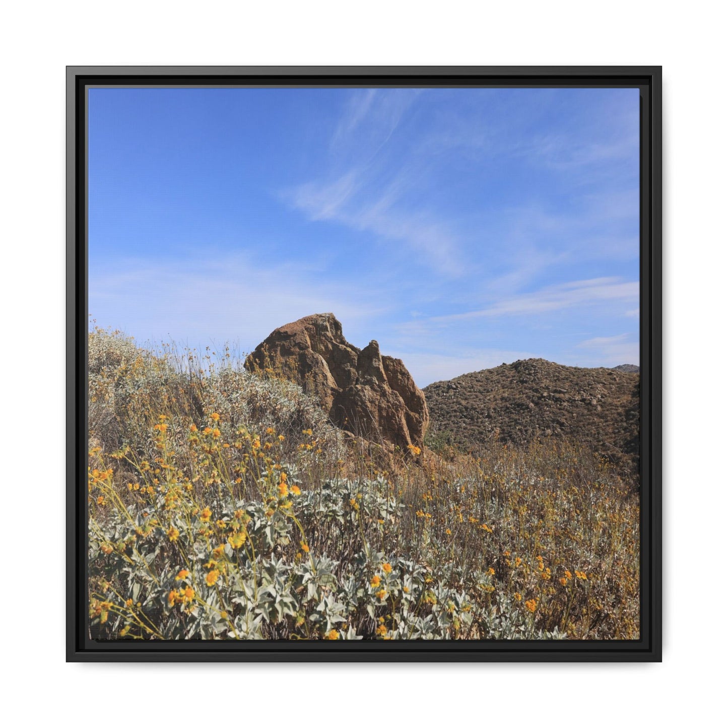 Golden Flowers in Arid Landscape - Unique Stretched Canvas Wall Art - Art By Earth