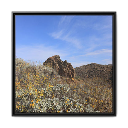 Golden Flowers in Arid Landscape - Unique Stretched Canvas Wall Art - Art By Earth