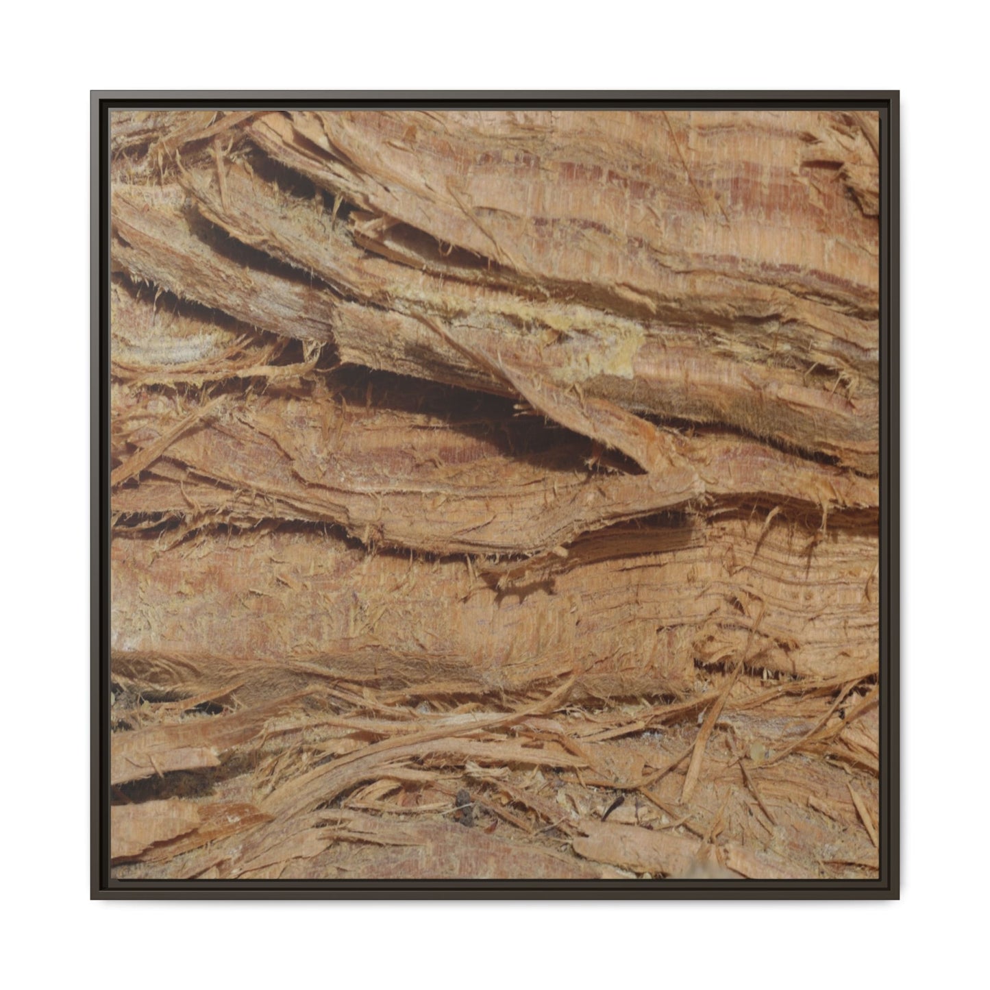Splintered Bark - Unique Stretched Canvas Wall Art - Art By Earth