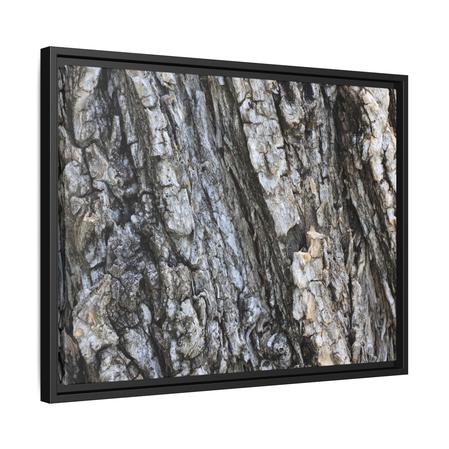 Twisted Textures - Unique Stretched Canvas Wall Art - Art By Earth