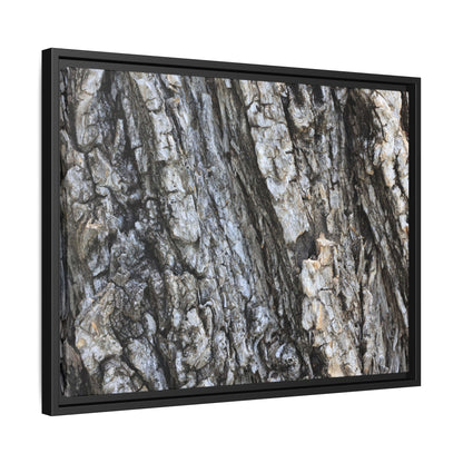 Twisted Textures - Unique Stretched Canvas Wall Art - Art By Earth