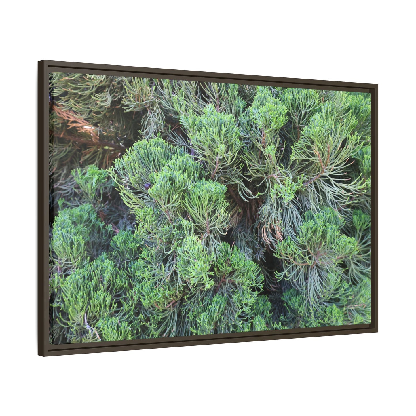 Verdant Whispers - Unique Stretched Canvas Wall Art - Art By Earth