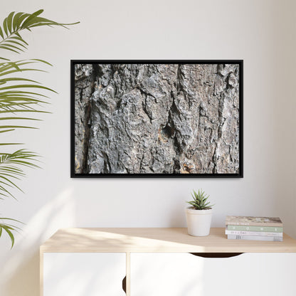 Crusty Exterior - Unique Stretched Canvas Wall Art - Art By Earth