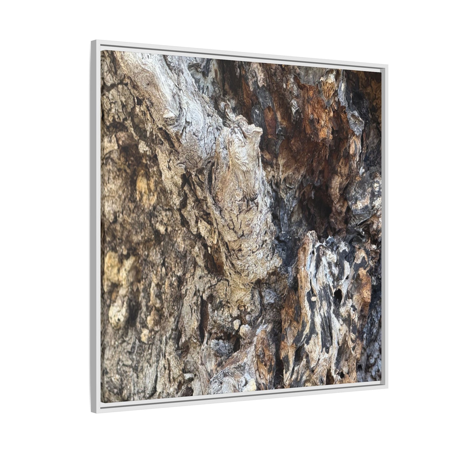 Ancient Tree Texture - Unique Stretched Canvas Wall Art - Art By Earth