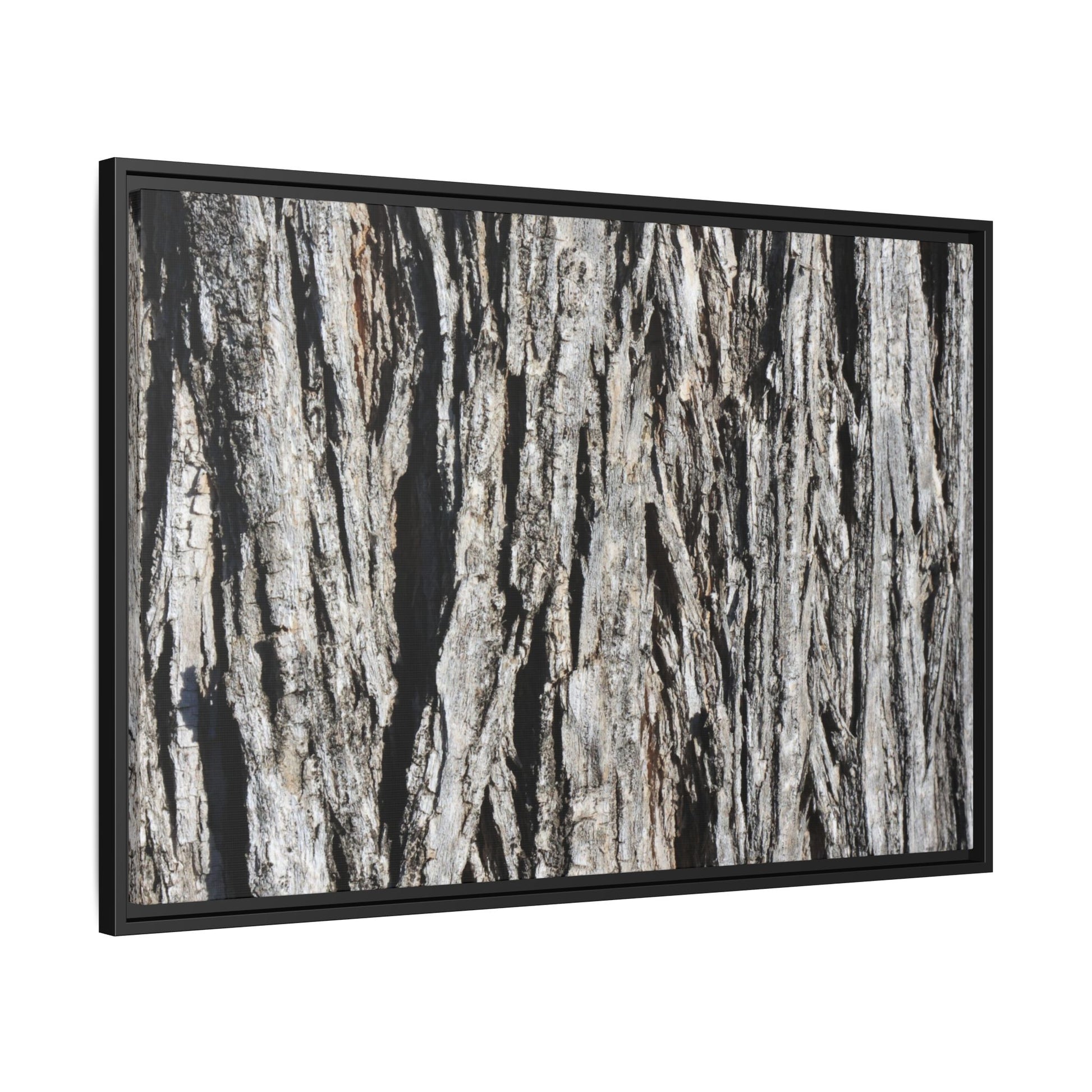 Nature's Abstract - Unique Stretched Canvas Wall Art - Art By Earth