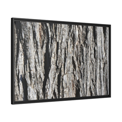Nature's Abstract - Unique Stretched Canvas Wall Art - Art By Earth
