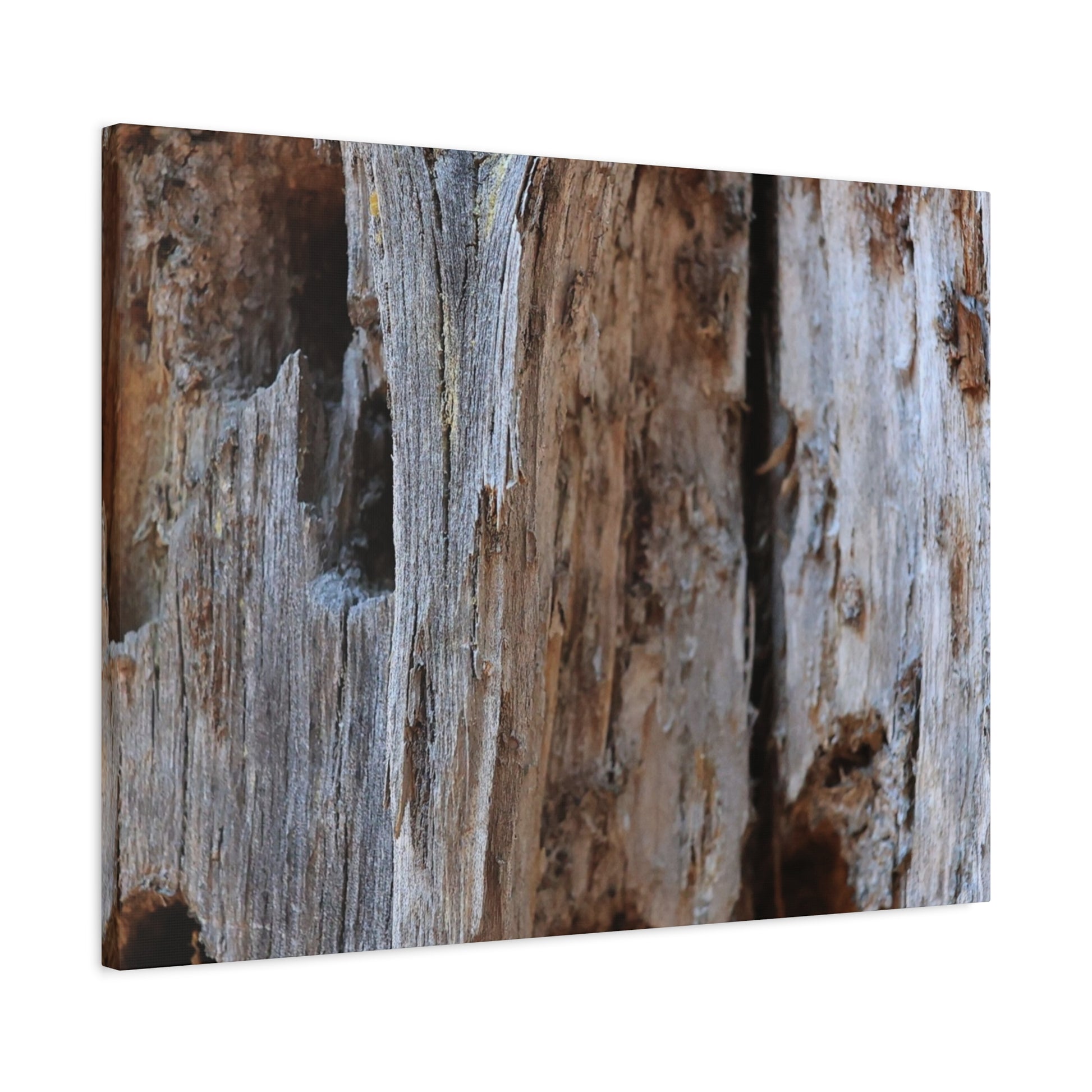 Timber Tapestry - Unique Frameless Canvas Wall Art - Art By Earth