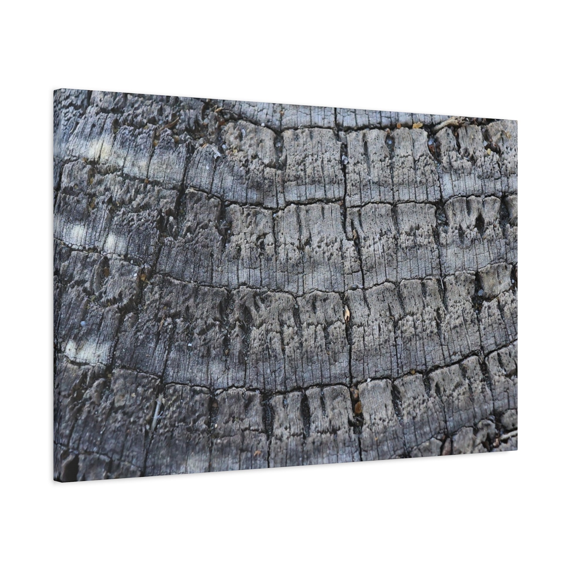 Whispers of Age - Unique Frameless Canvas Wall Art - Art By Earth